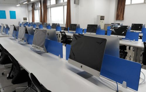 双模驱动·赋能未来 武汉工程大学光谷校区 & 天和云智 2024计算机应用与移动互联网专业精英计划全面启动